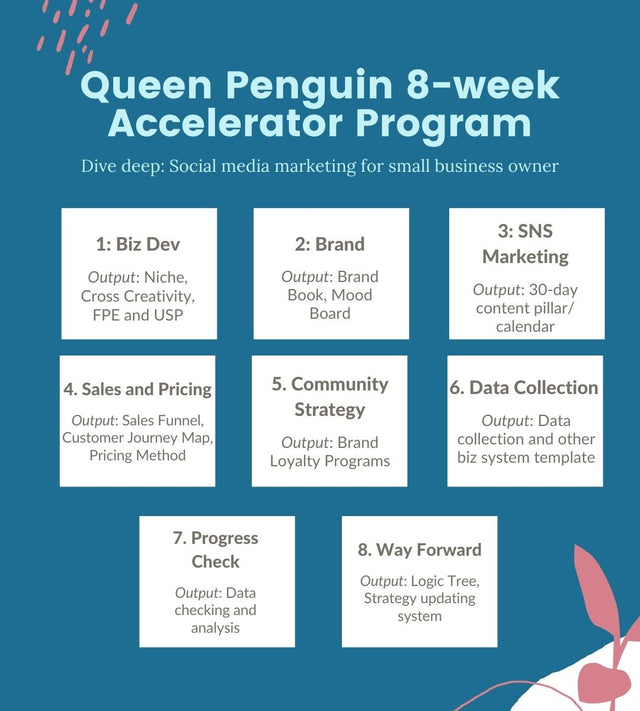 Queen Penguin 6-week Accelerator Program